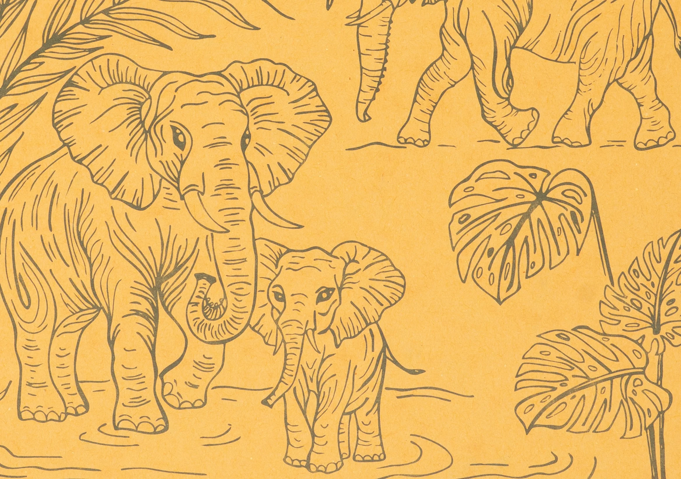Elephants Decomposition Book - Image 2