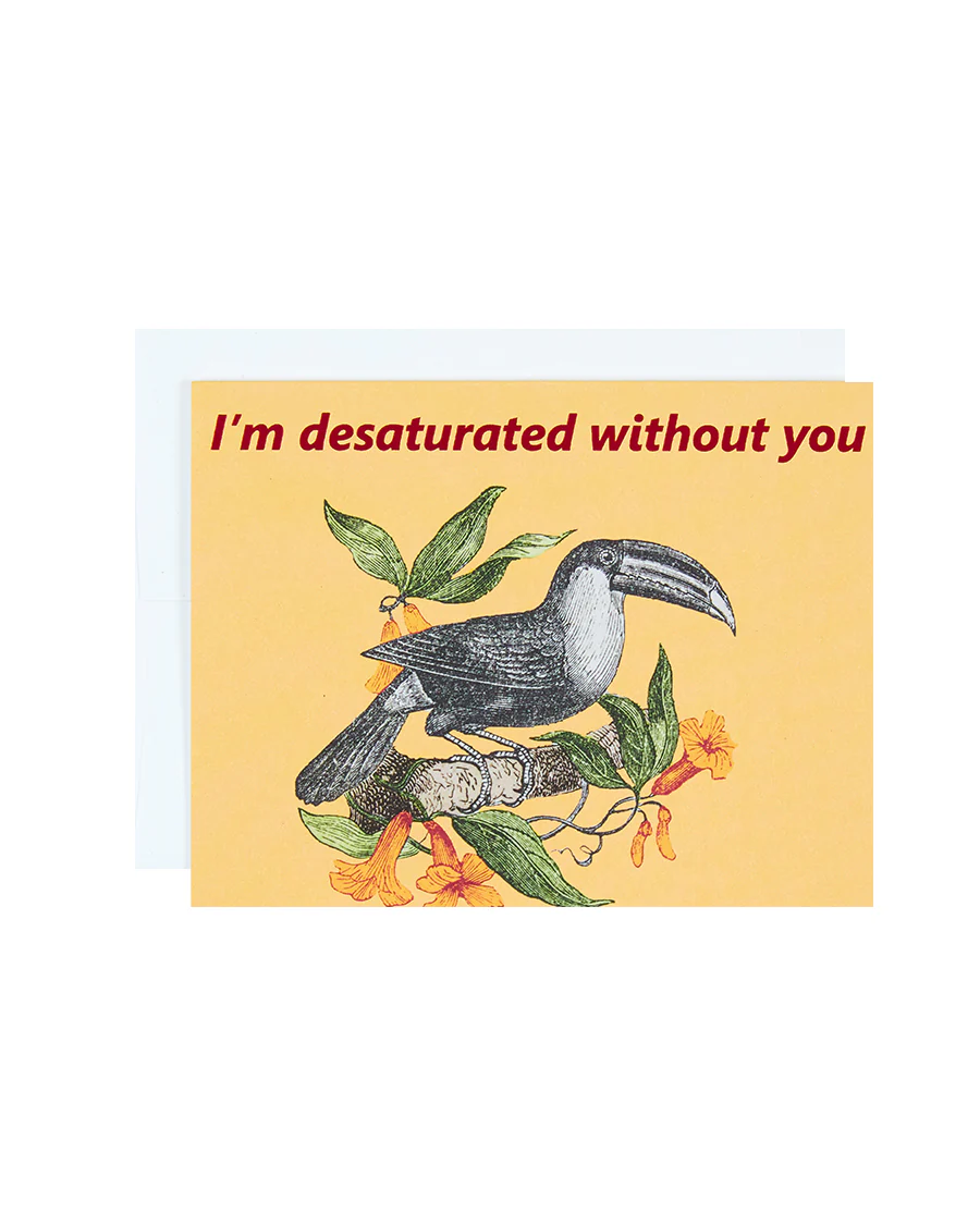Everyday| Desaturated Toucan
