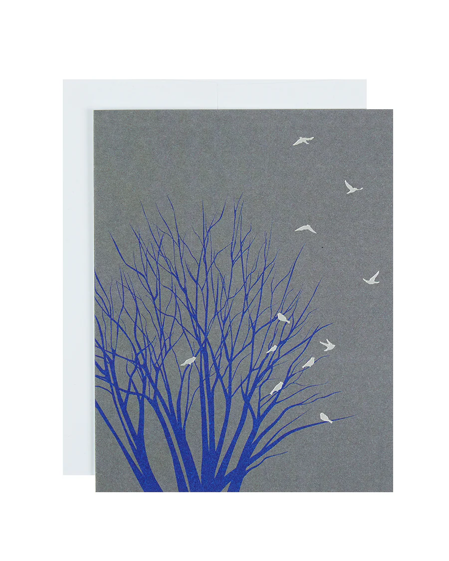 No Text | Tree with Birds