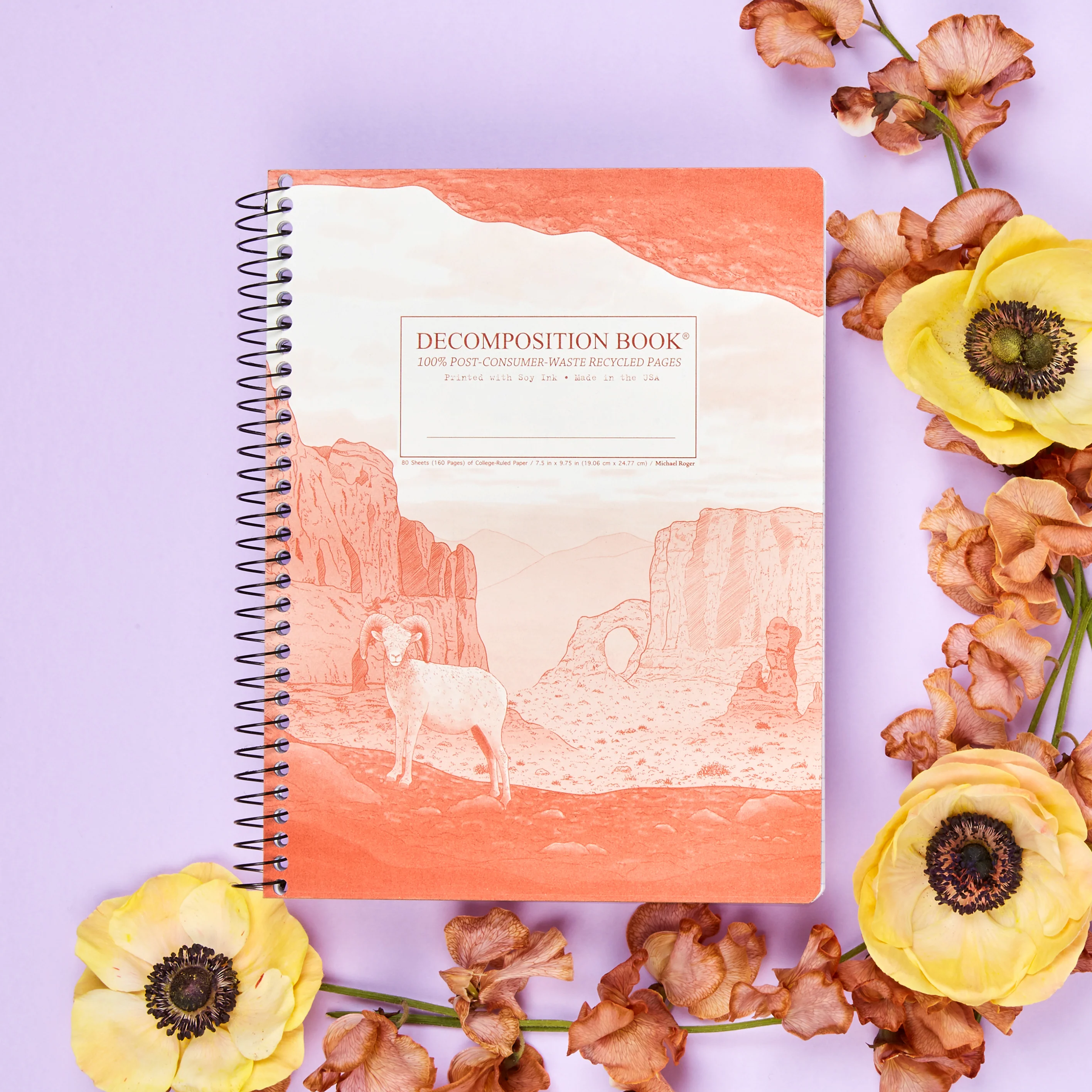 Moab Decomposition Book - Image 4